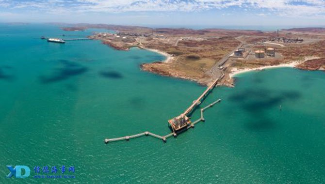 德天空：法比安-舍尔在纽卡位置被佳夫取代，冬窗或重返德甲（德天空：佳夫取代法比安-舍尔在纽卡的位置，后者冬窗或回归德甲）